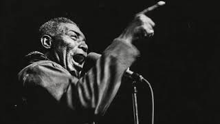 HOWLIN WOLF  Live in Chicago 1969  Full Album [upl. by Gleda]