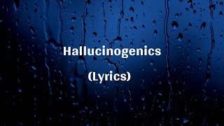 Matt Maeson  Hallucinogenics Lyrics [upl. by Norraf853]