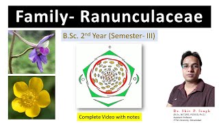 Family Ranunculaceae [upl. by Aneras]