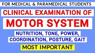 MOTOR SYSTEM EXAMINATION  CLINICAL LAB  PHYSIOLOGY PRACTICALS [upl. by Coralie793]