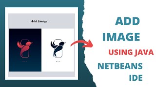 How to add image to jFrame and jpanel in java using NetBeans IDE Swing [upl. by Enialehs120]