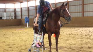 Extreme Horse Obstacle Training [upl. by Oilla]