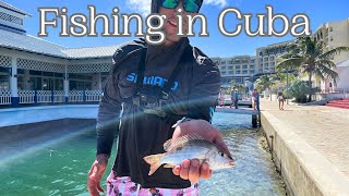 Fishing in Cuba  Varadero [upl. by Trill40]