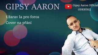 Gipsy Aaron  Užarav La Pro Foros  cover na přání 2019 [upl. by Hteb]