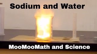 Sodium in water explosion Chemical Reaction [upl. by Darnoc]