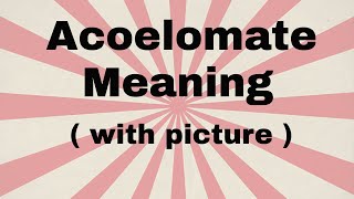 Acoelomate meaning [upl. by Longtin]