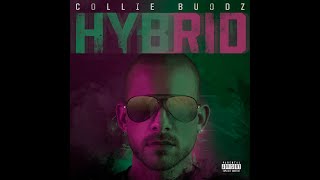 Collie Buddz  Everything Blessed feat Tech N9ne [upl. by Lapo]