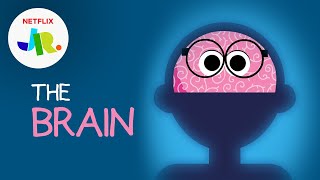 What is a Brain 🧠 StoryBots The Human Body for Kids  Netflix Jr [upl. by Vyner]