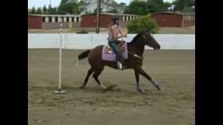 July 14th Gymkhana Horse Show [upl. by Lettie]