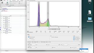 Cell Cycle Basics in FlowJo [upl. by Trella433]