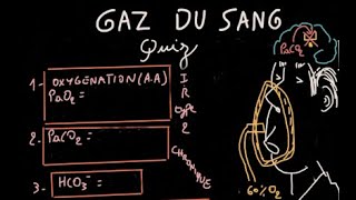 Gaz du sang  Quiz  Partie 3  12  Docteur Synapse [upl. by Pearlstein]