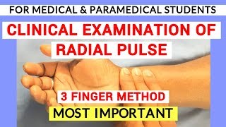 RADIAL PULSE EXAMINATION  CLINICAL LAB  PHYSIOLOGY PRACTICALS [upl. by Ahsiyt]