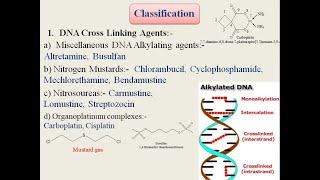 Classification of Anticancer or Antineoplastic agents Medicinal Chemistry Structural basis [upl. by Orfinger]