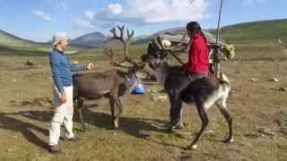 Riding Reindeer in Mongolia [upl. by Tat351]