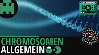 Chromosomen Allgemein│Biologie Lernvideo Learning Level Up [upl. by Nare]