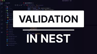 NestJs Validation Tutorial 2021 [upl. by Rawden]