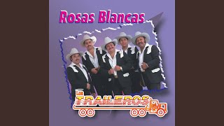 Rosas Blancas [upl. by Mashe]