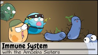 Immune System [upl. by Na52]