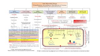 Antibiotics Classification According to Mechanism of Action  Antibiotics  Antibiotics Classes [upl. by Emmalynne]