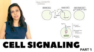 Cell Signaling Overview  Part 1 [upl. by Sire923]