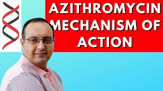 Azithromycin  Mechanism of Action  Pharmacology  Biochemistry [upl. by Erkan]