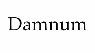 How to Pronounce Damnum [upl. by Adallard552]