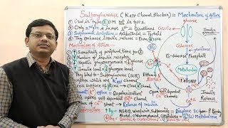 Diabetes Mellitus Part10 Mechanism of Action of Sulfonylurease  Antidiabetic Drugs  Diabetes [upl. by Neill]