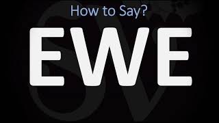 How to Pronounce Ewe CORRECTLY [upl. by Brookhouse606]