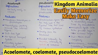 Acoelomate  Coelomate  Pdeudocoelomate  Kingdom Animalia  Class 11 [upl. by Assanav]