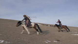 Historical Archery with Mongol Cavalry [upl. by Richey991]