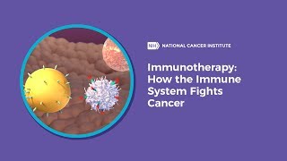 Immunotherapy How the Immune System Fights Cancer [upl. by Marne]