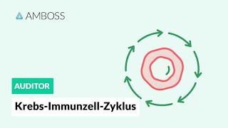 Der KrebsImmunzellZyklus  AMBOSS Auditor [upl. by Jovitah]