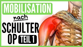 Schultermobilisation nach OP [upl. by Aynatahs]