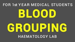 BLOOD GROUPING  HAEMATOLOGY LAB  PHYSIOLOGY [upl. by Zita467]