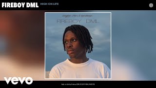 Fireboy DML  High on Life Audio [upl. by Engis]