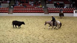 Houston Rodeo Professional Cutting Horse Competition [upl. by Letti]