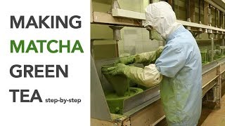 Making Matcha step by step  Spring Harvest [upl. by Ribaj580]