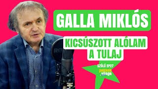 GALLA MIKLÓS KICSÚSZOTT ALÓLAM A TULAJ  Szóló  Palikék Világa by Manna [upl. by Euqinwahs]