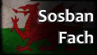 Welsh Folk Song  Sosban Fach [upl. by Jarlathus851]