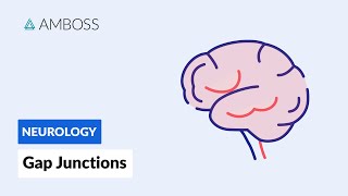 Gap Junctions Intercellular Communication [upl. by Aihtiekal988]