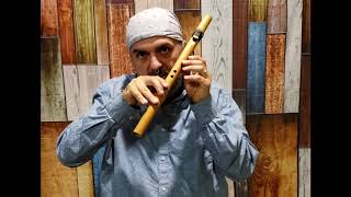 How to Play the Native American Flute in under 10 minutes EASY Lesson 1 [upl. by Alcine]