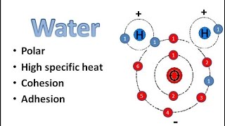 Water Chemistry [upl. by Assedo]