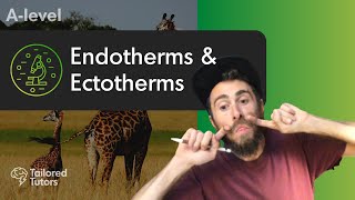 Endotherms amp Ectotherms  A Level Biology  OCR [upl. by Skeie]