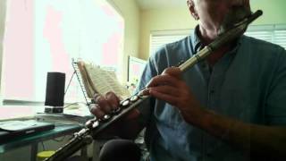 Jazz Flute  Blue Bossa [upl. by Stearn]