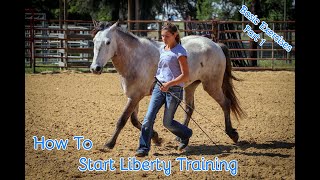 How To Start Liberty Training With Your Horse Basic Exercises Part 1 [upl. by Trula]