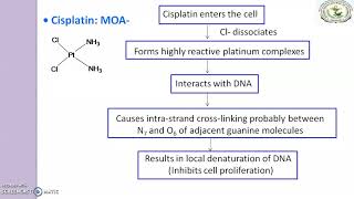 Antineoplastic agents Cisplatin [upl. by Sturdivant]