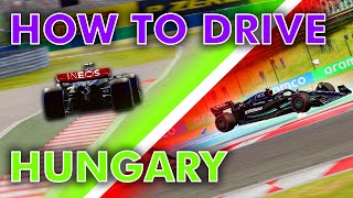 F1 23  How To Drive Hungary  SETUP [upl. by Suckram]