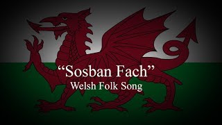 quotSosban Fachquot Little Saucepan  Welsh Folk Song [upl. by Aihsemak]