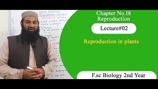 Biology Ch18Lecture02 Reproduction in plants FSc 2nd Year [upl. by Rabush]