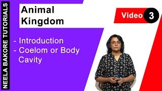 Animal Kingdom  NEET  Introduction  Coelom or Body Cavity  Neela Bakore Tutorials [upl. by Batory]